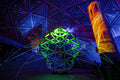 Light dome in the Biodome #7321