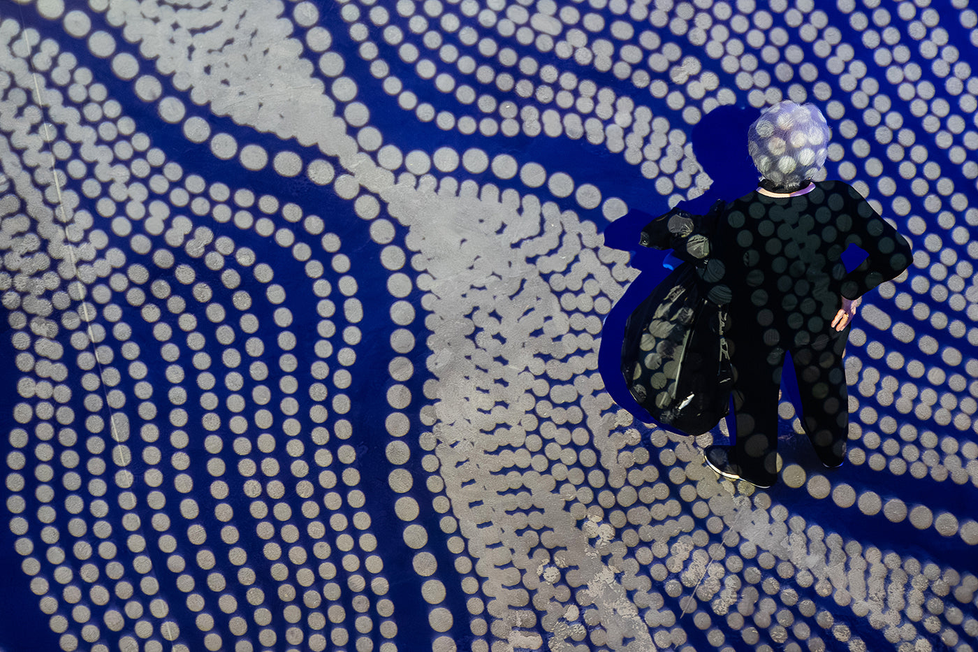 Light dome in the Biodome #7332