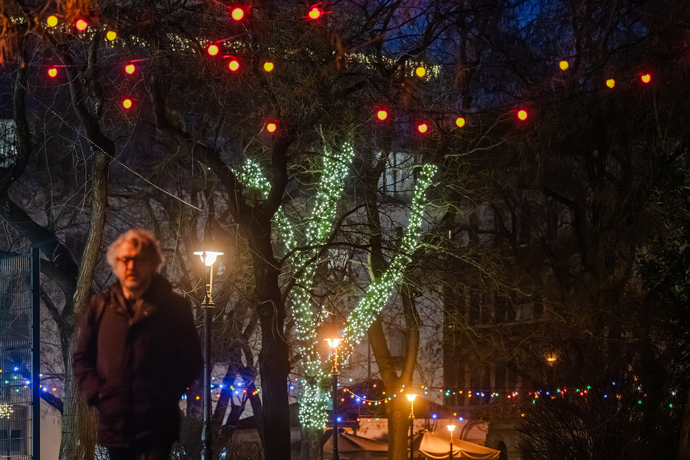 Hunyadi Square at Christmas #7621