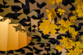 Hungarian House of Music in autumn #7680