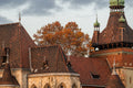 Vajdahunyad Castle in autumn #7685