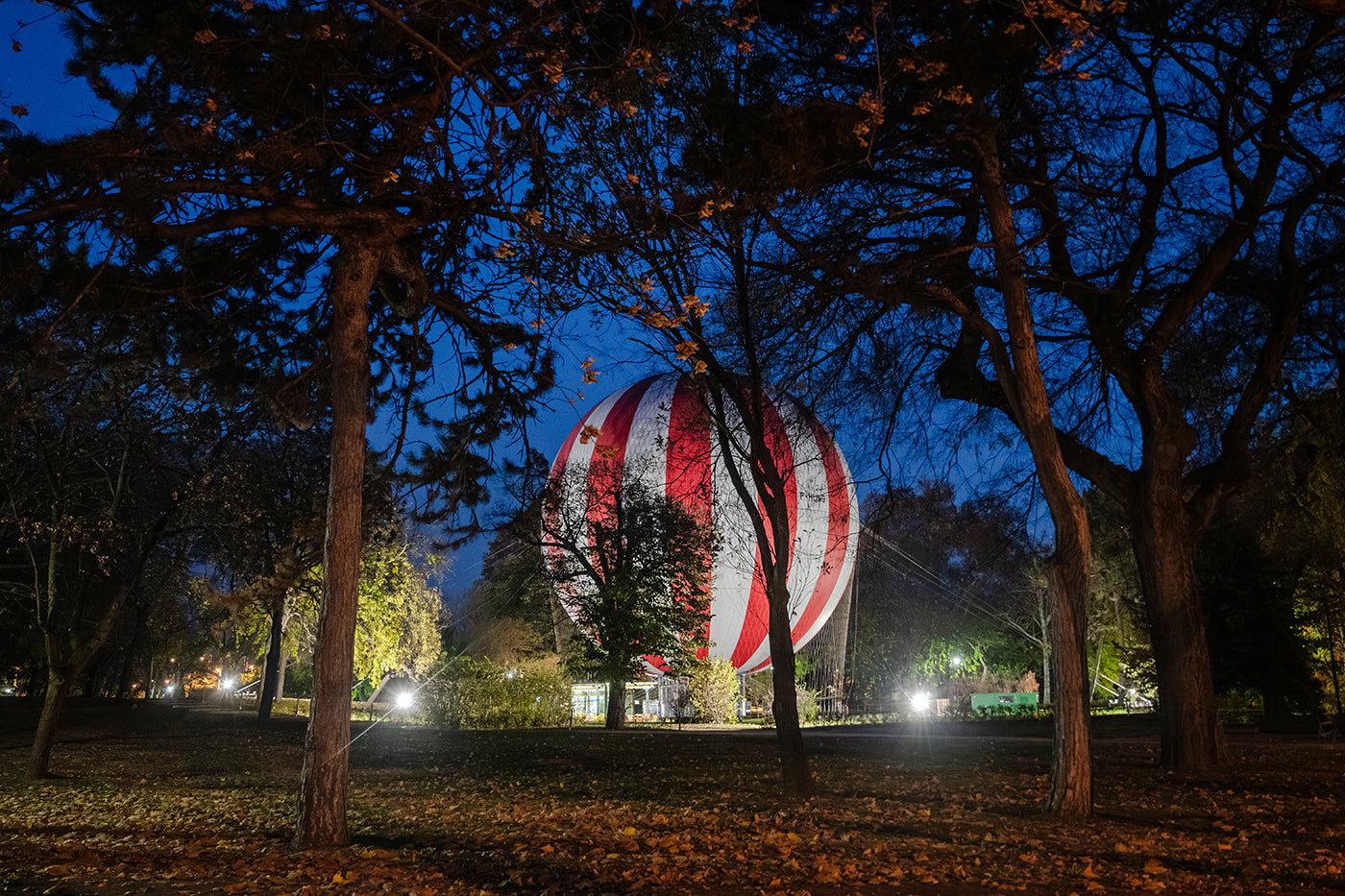 Légballon a Városligetben #7706
