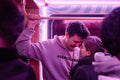 Bulivillamos 2024 #7845