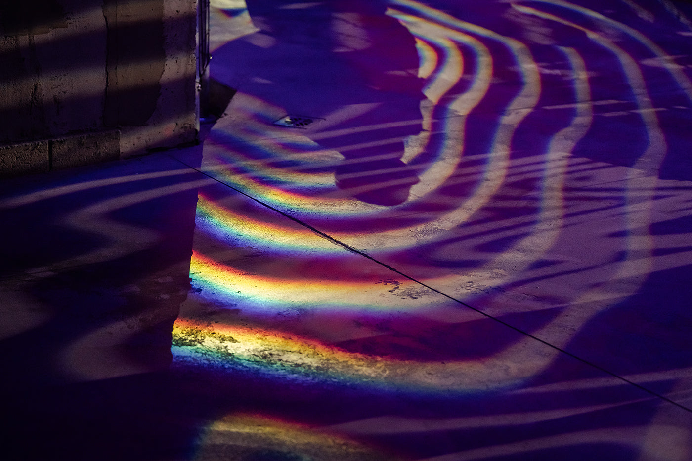 Fénydóm 2. a Biodómban #7900