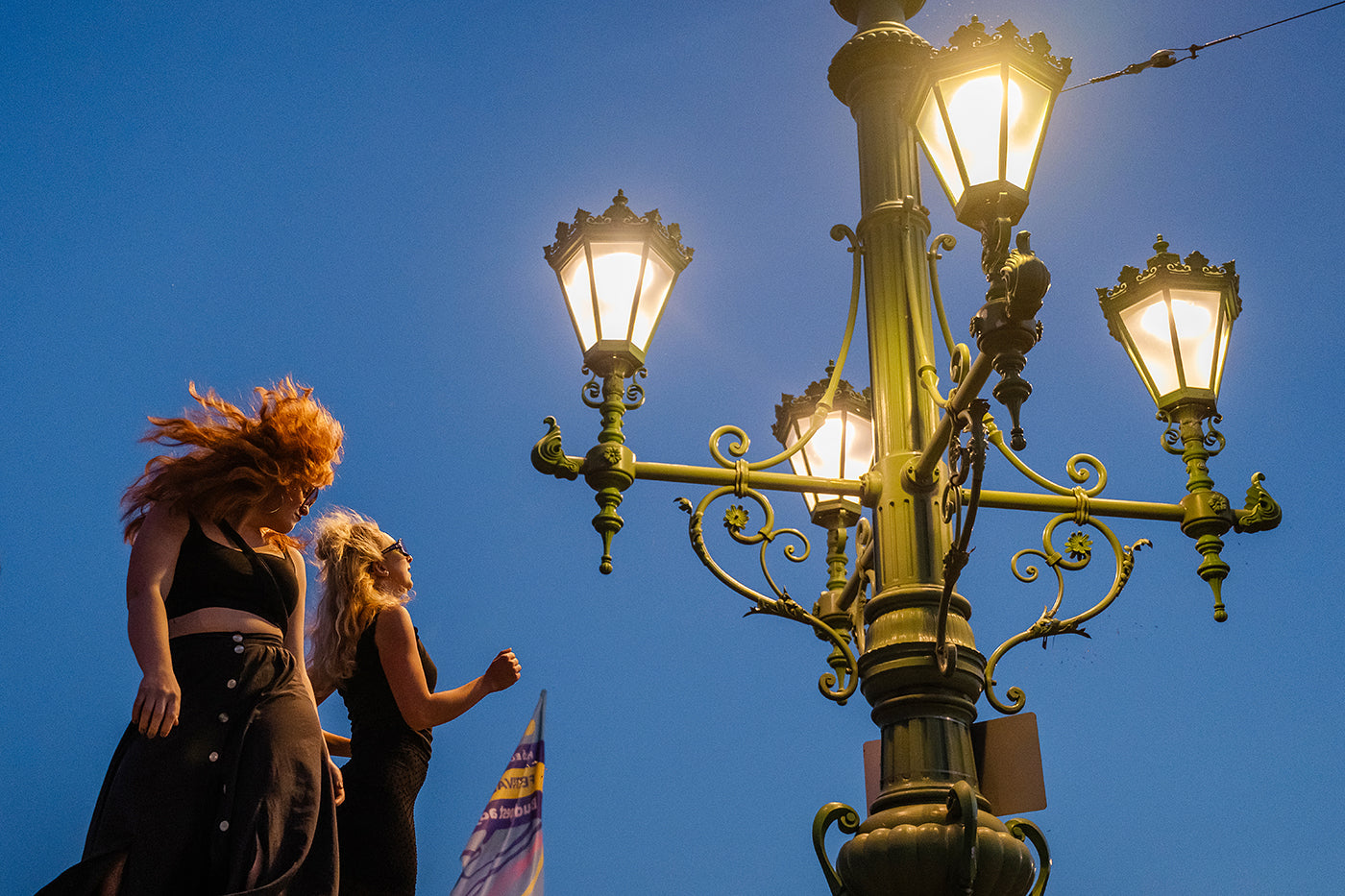 Piknik a Szabadság hídon #7947