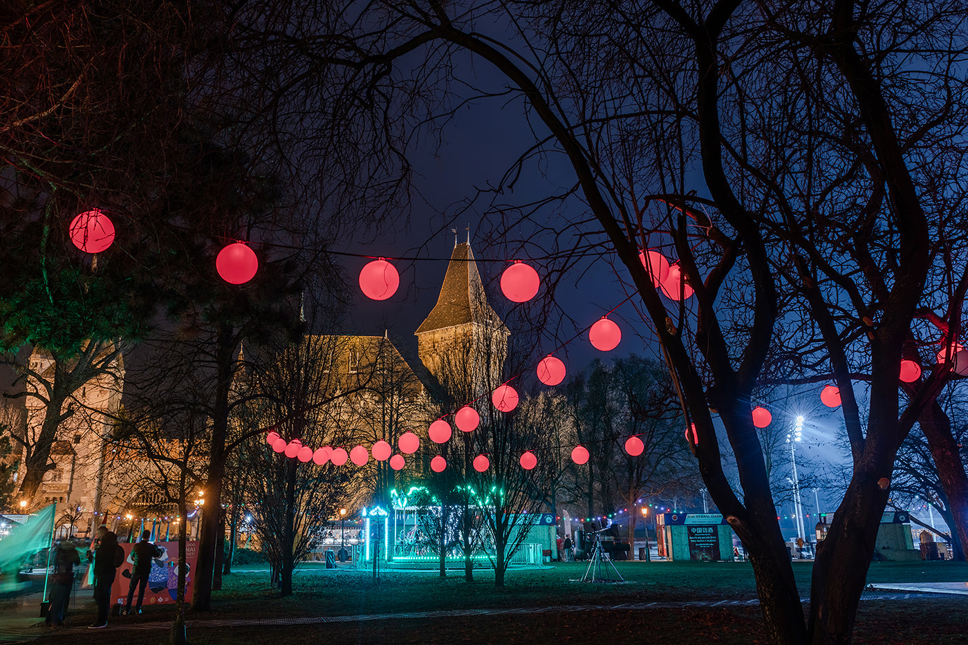 Christmas in the City Park #7988