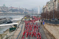 Santa Claus Run #8013