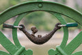 Mini statue of Franz Joseph on Liberty Bridge #8119