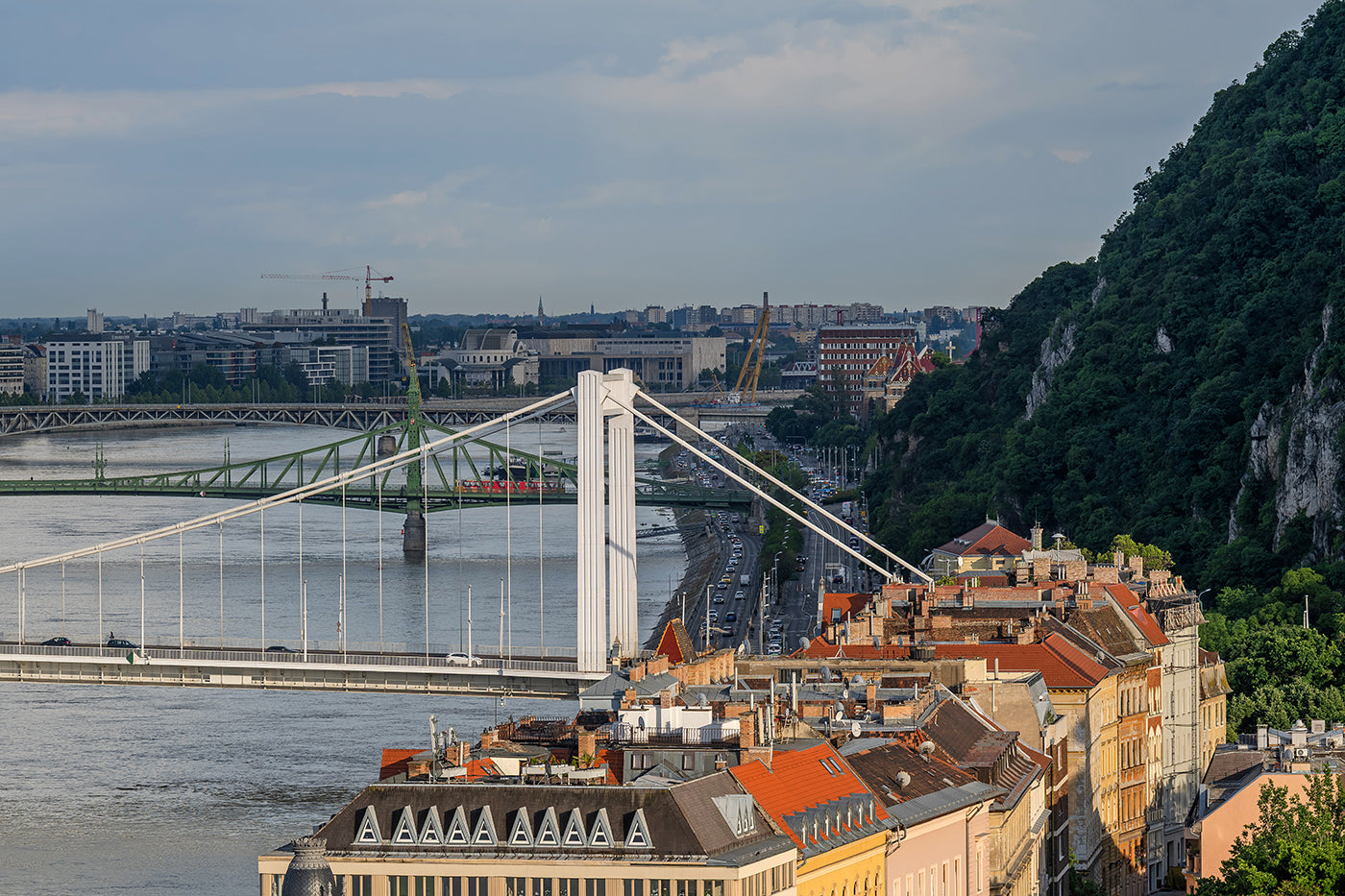 Elizabeth Bridge from the Castle #8152