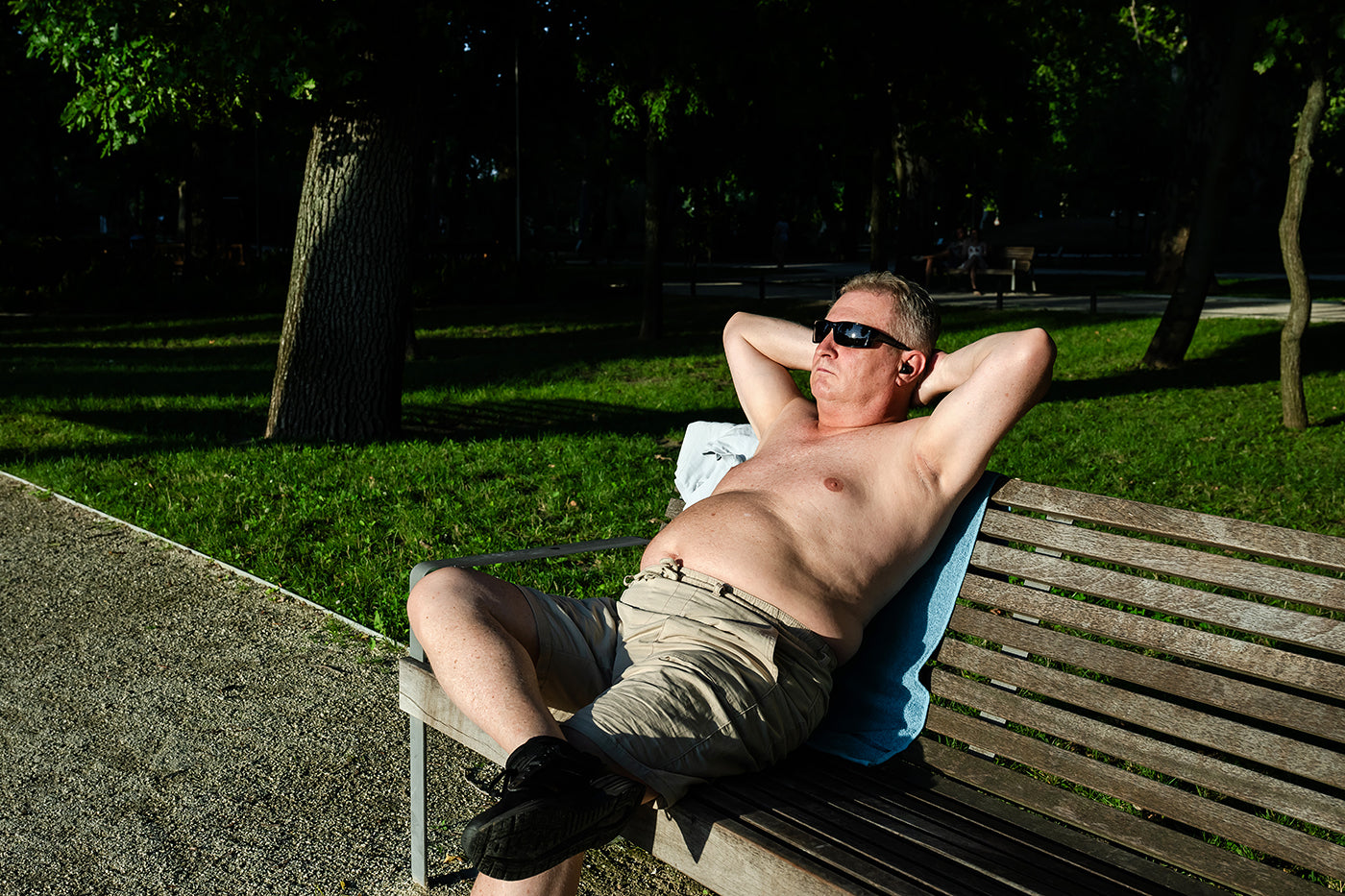 Sunbathing in the City Park #8396