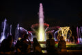 Margaret Island Fountain at night #8399
