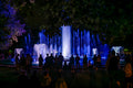 Margaret Island Fountain at night #8404