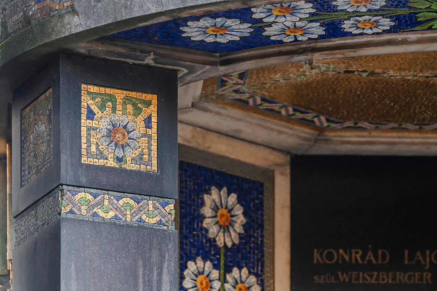 Detail of the Kozma Street Jewish Cemetery #8520