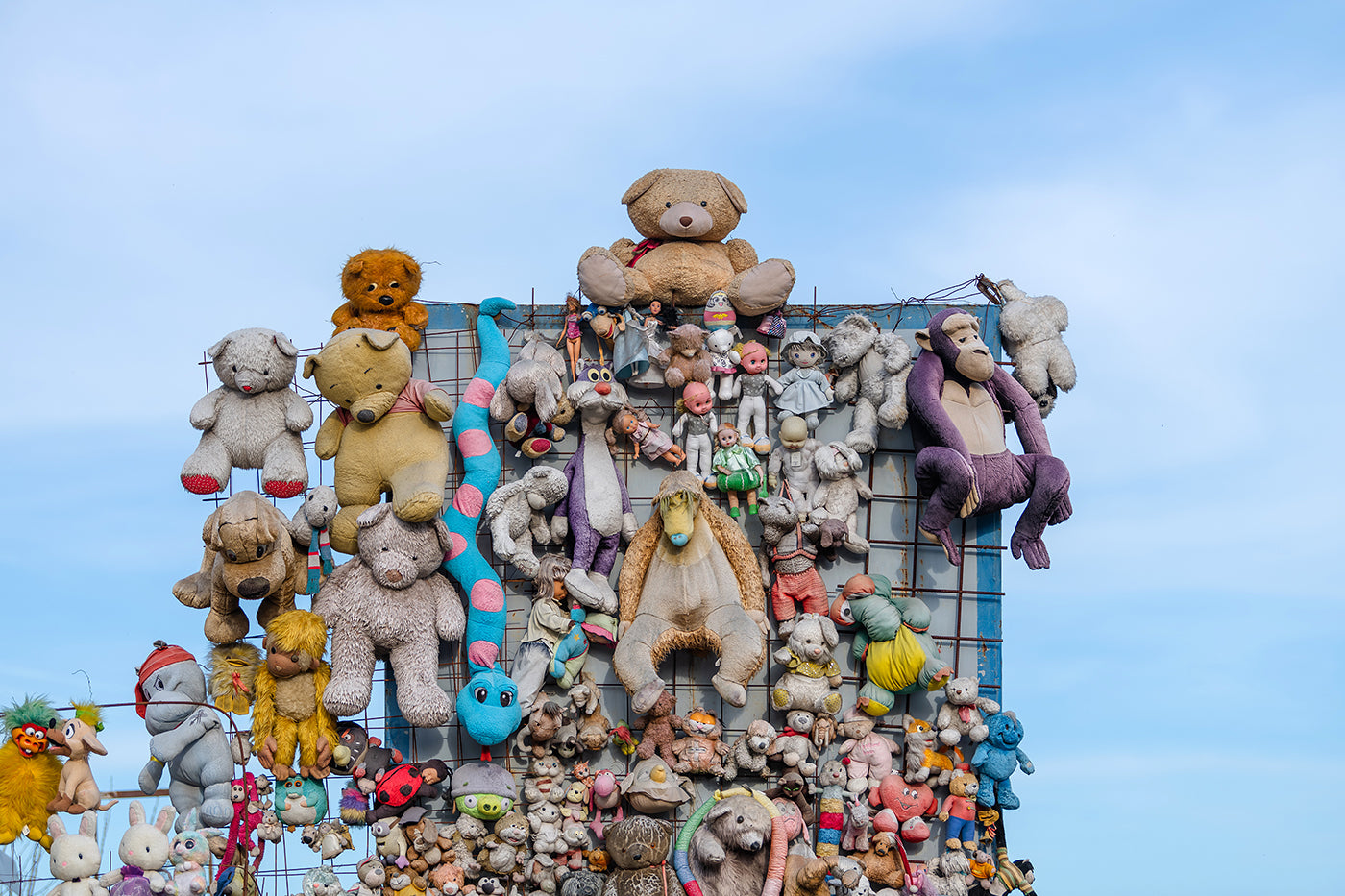 The plush fence of Budafok #8762