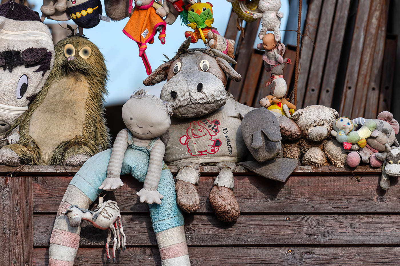 The plush fence of Budafok #8763