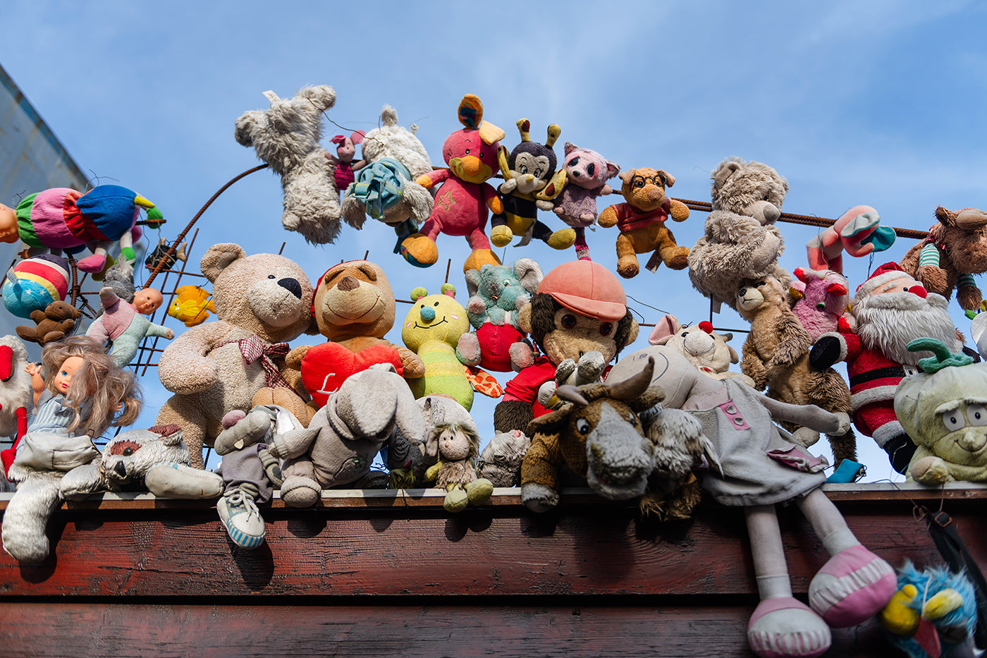 The plush fence of Budafok #8769