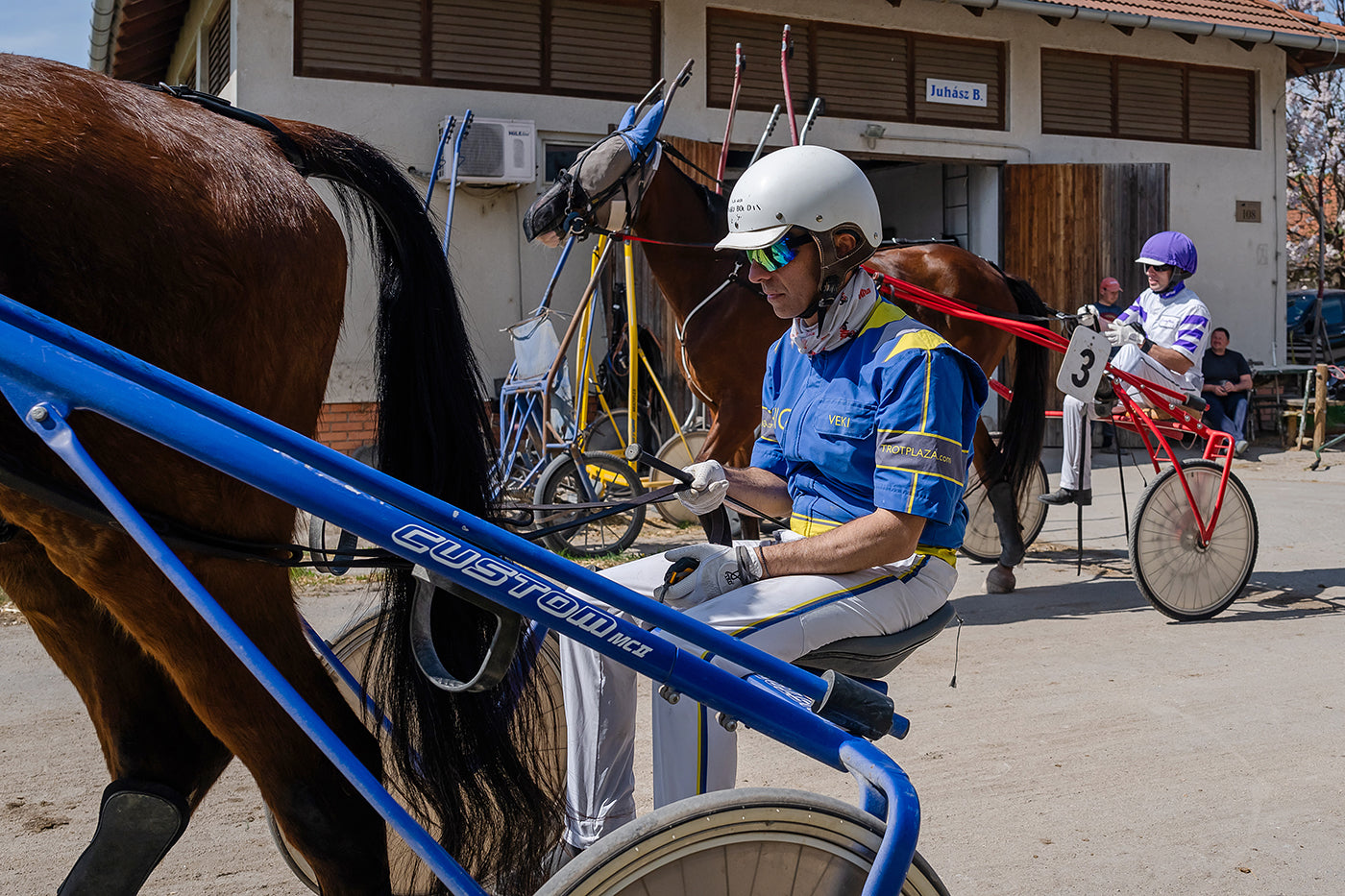 Ügető a Kincsem Parkban #8809