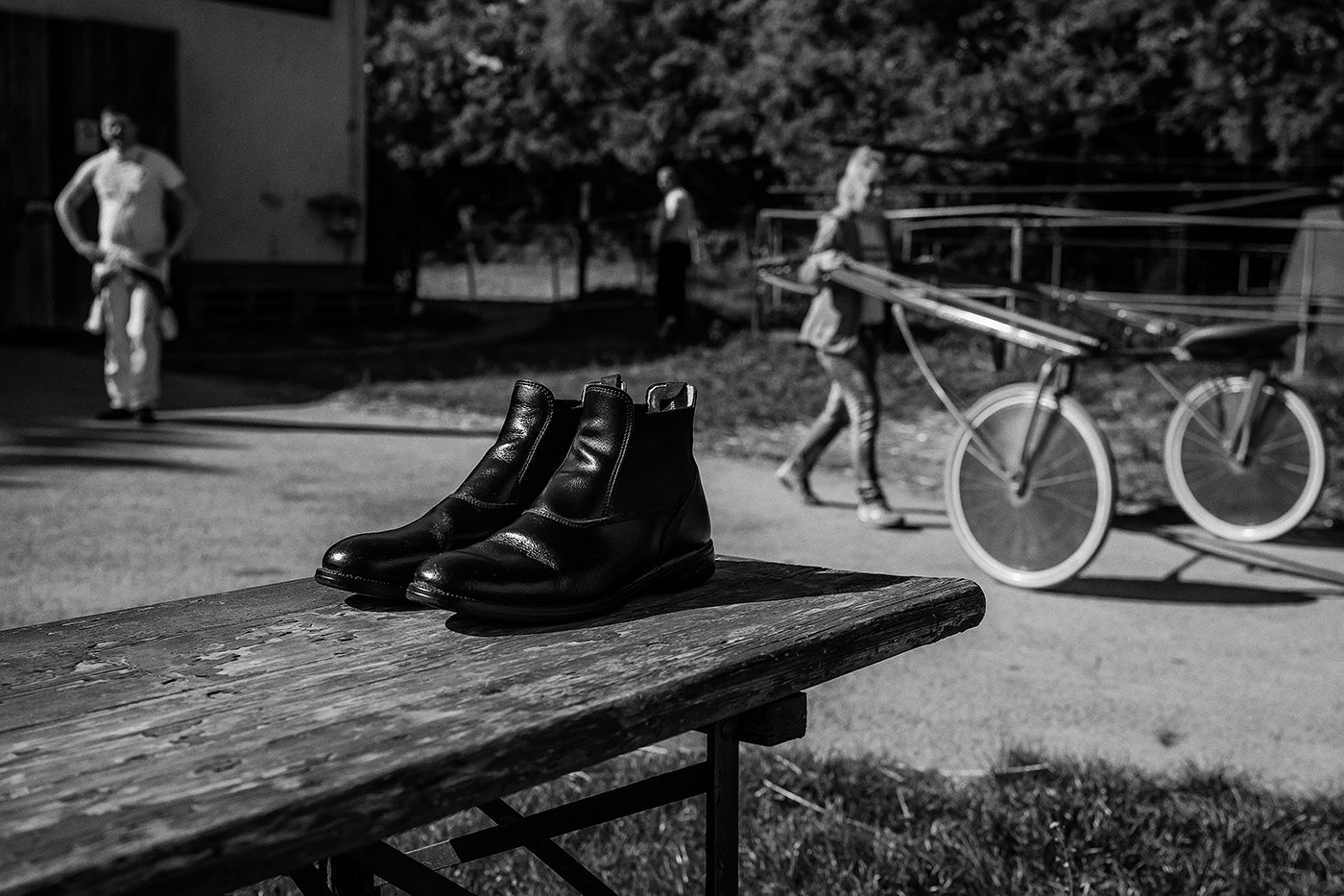 Life in Kincsem Park #8840