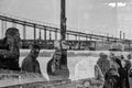 Reflection on the Danube Bank #8853