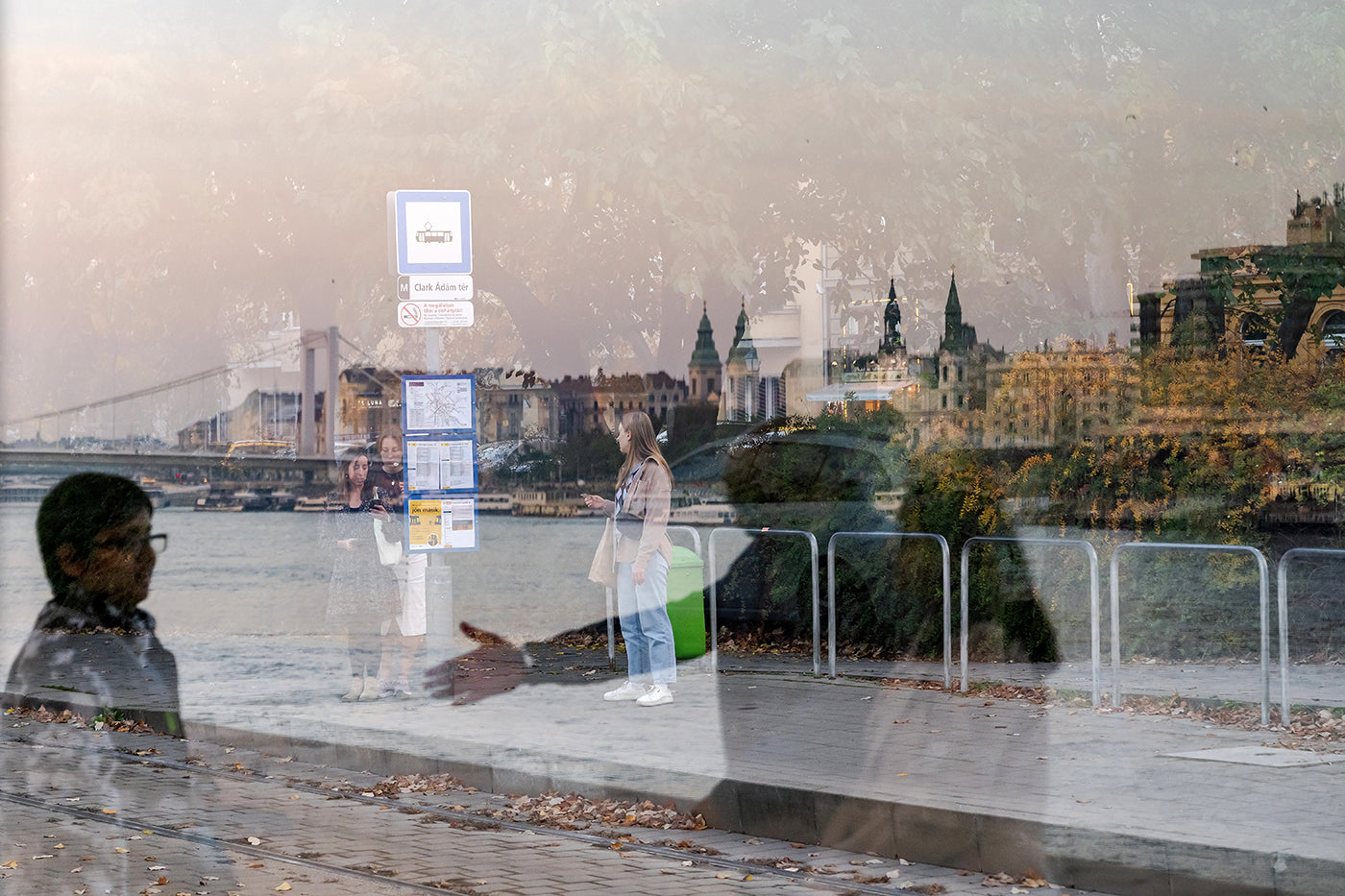 Reflection on the Danube Bank #8857