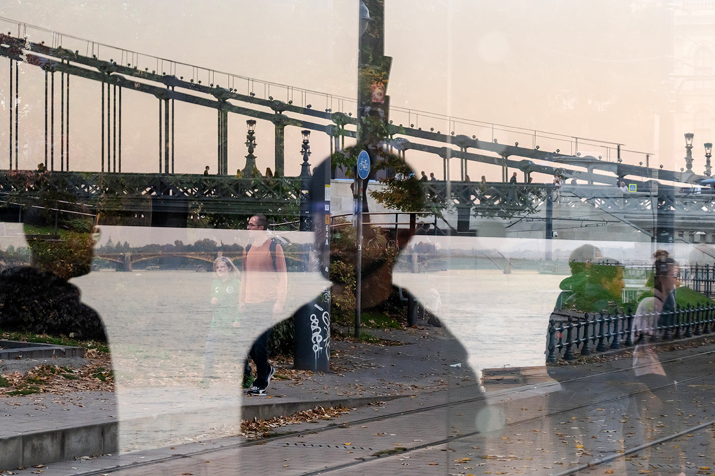 Reflection on the Danube Bank #8859