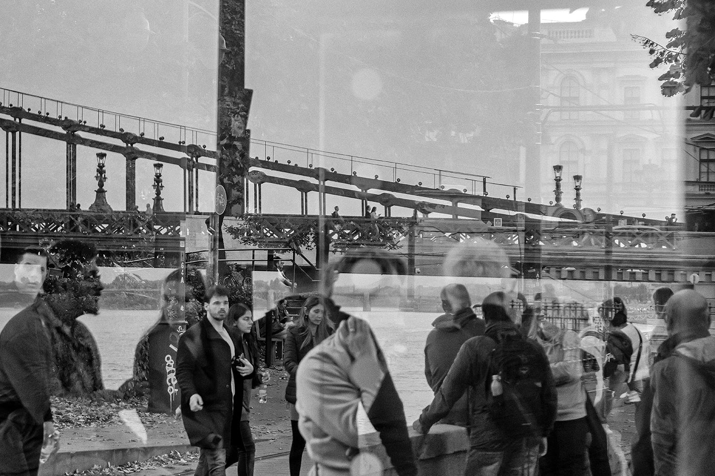 Reflection on the Danube Bank #8861