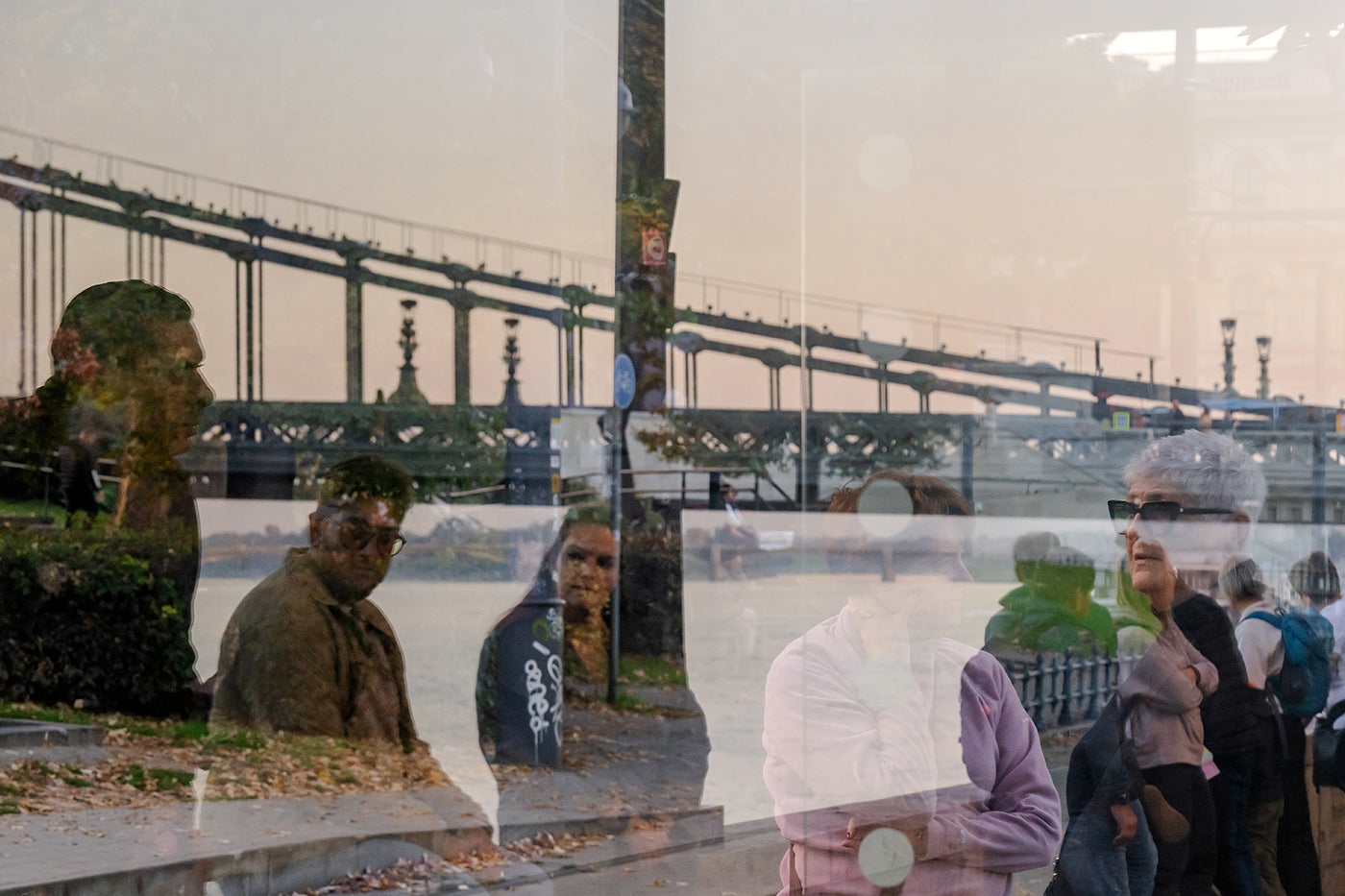 Reflection on the Danube Bank #8862