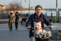 Cyclist with dog on Fővám Square #8866