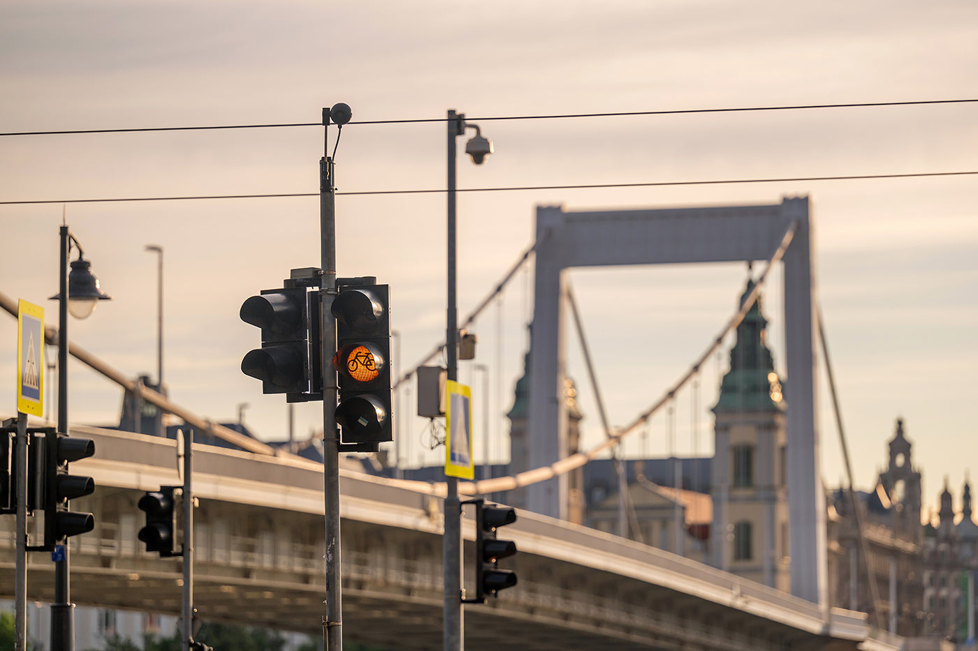 Elizabeth Bridge in the morning #8890