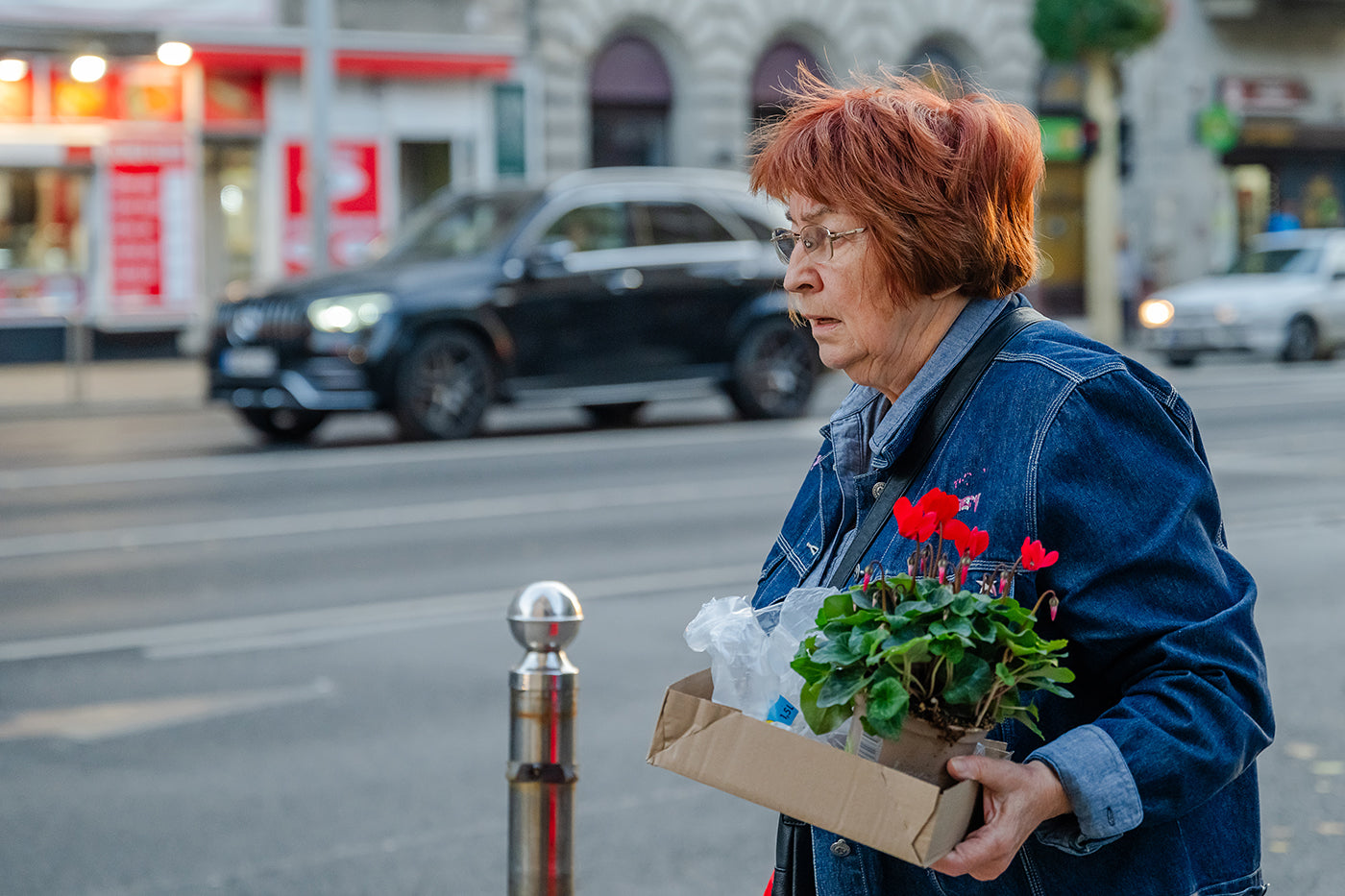 Life on Rákóczi Street #8899