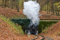 The Children's Railway steamer at the Lárs-hegy tunnel #8967