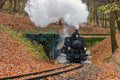 The Children's Railway steamer at the Lárs-hegy tunnel #8980