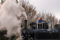 Driver on the Children's Railway steamer #8982
