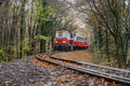 Children's railway in autumn #9028