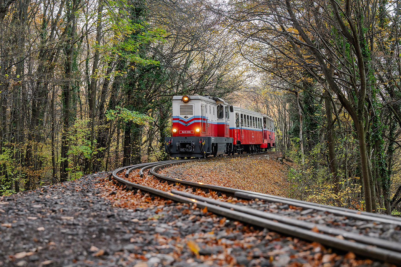 Children's railway in autumn #9028