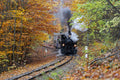 The Children's Railway Steamer #9029