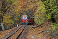 Children's railway in autumn #9030