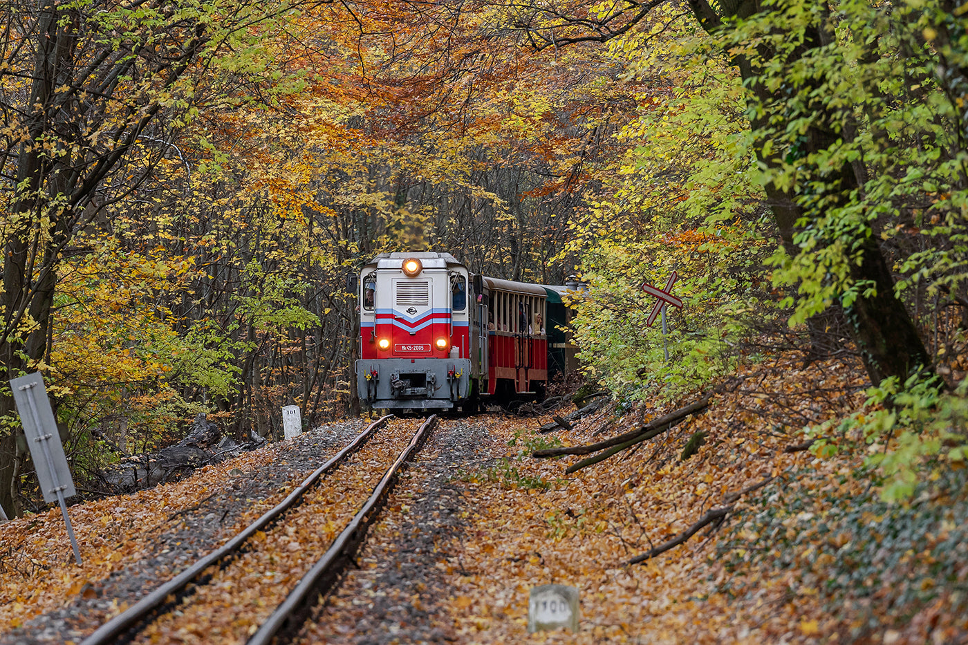Children's railway in autumn #9030