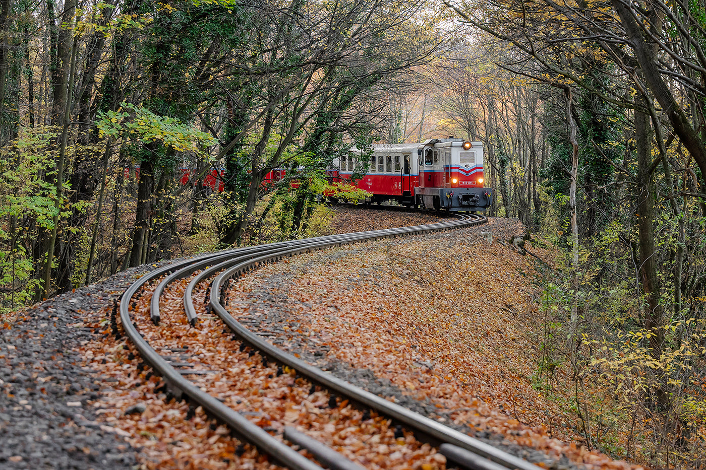Children's railway in autumn #9031