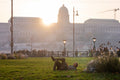 Siesta on Széchenyi Square #9139