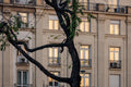 Facade of Bajcsy-Zsilinszky Street 15 #9142