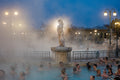 Bathers in Széchenyi #9168