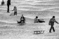Sledding on Normafa #9209