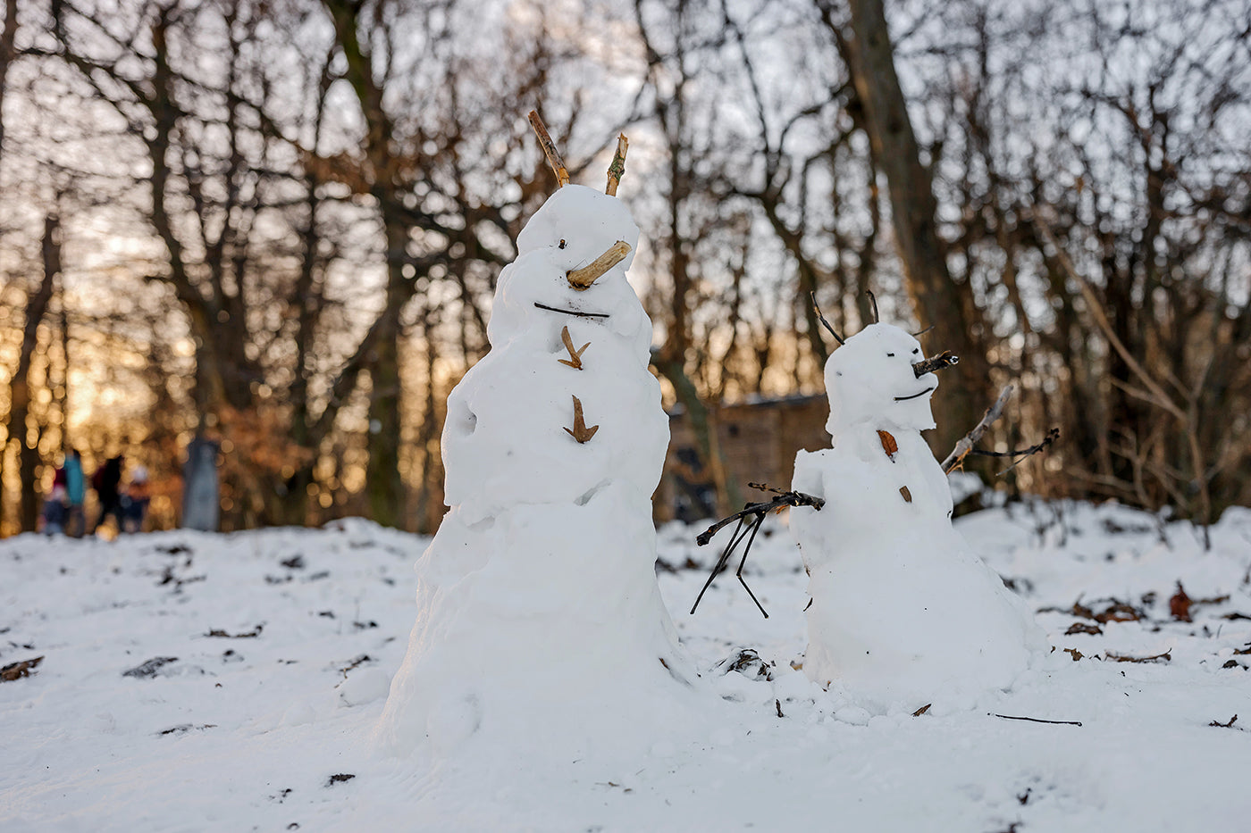 Snowmen on Normafa #9214