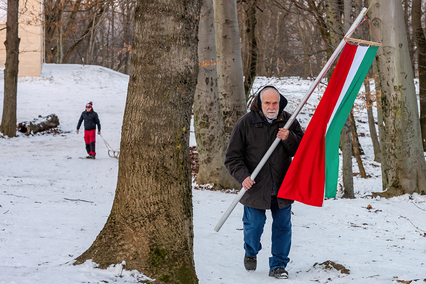 With the Hungarian flag on the snowy Normafa #9220