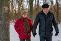 Hikers on the snowy Normafa #9235