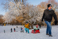 Sledding on Normafa #9236