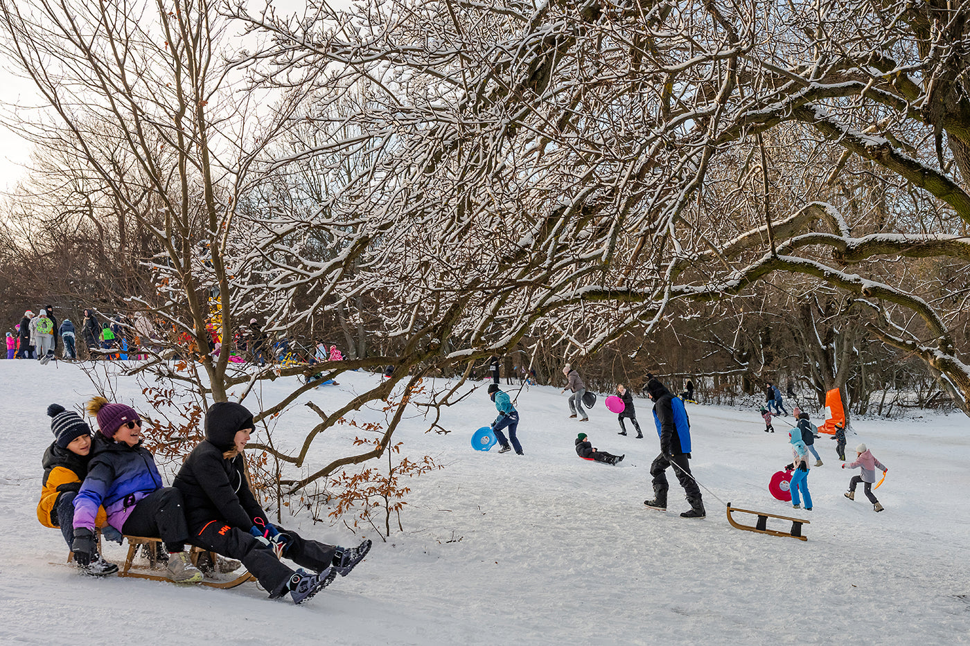 Sledding on Normafa #9237