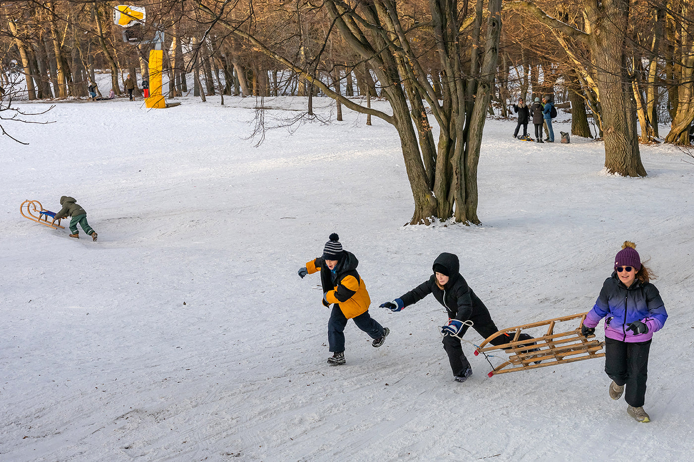 Sledding on Normafa #9238